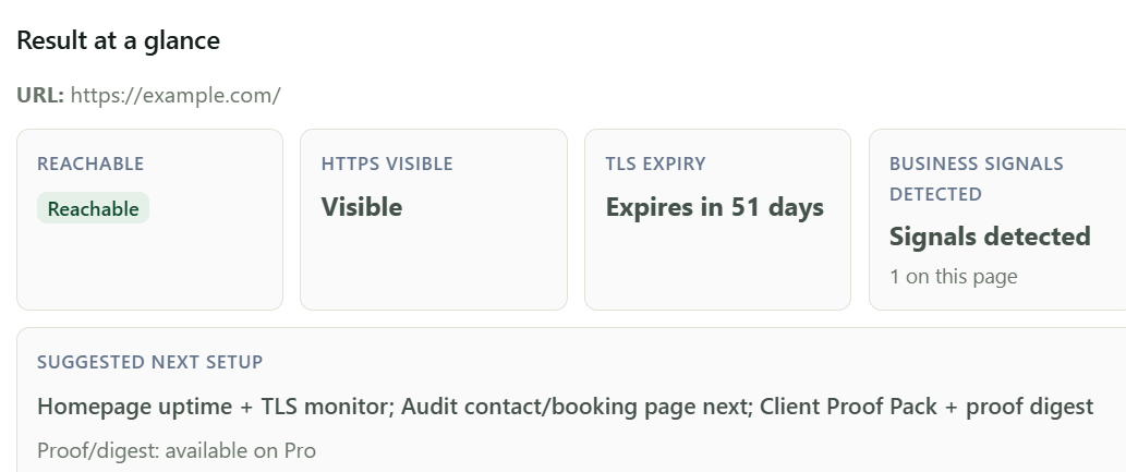 Audit result showing reachability, HTTPS, TLS expiry, business signals, and suggested next setup.